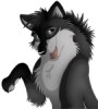 Husky's Photo
