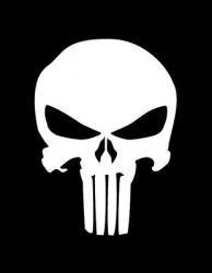 ThePunisher's Photo