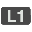 L1