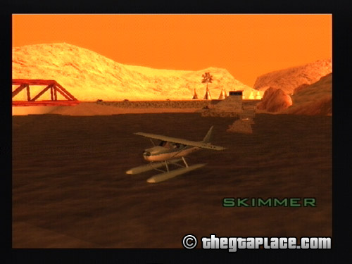 skimmer.jpg